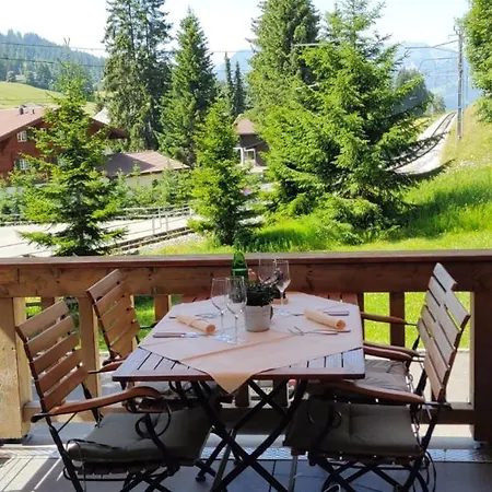 Des Alpes Superieur 3* Gstaad