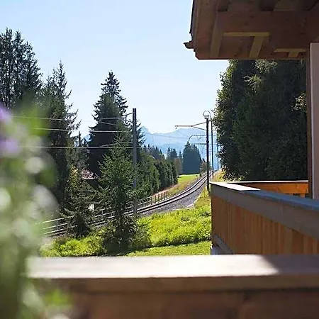 Des Alpes Superieur ホテル グスタード
