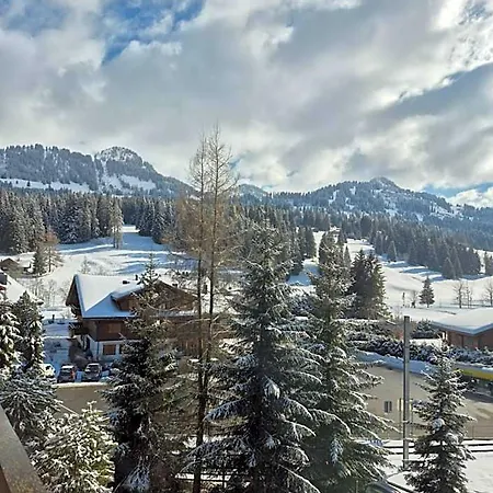 Des Alpes Superieur 3* グスタード