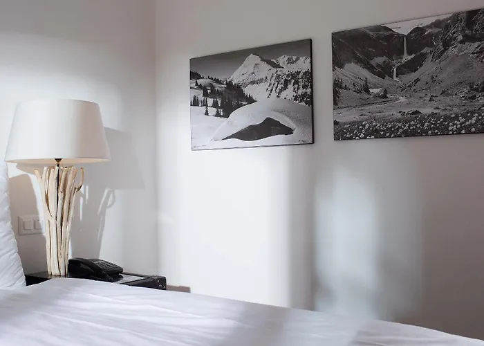 Des Alpes Superieur 3*