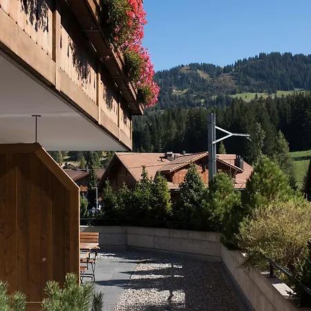 Отель Des Alpes Superieur 3*